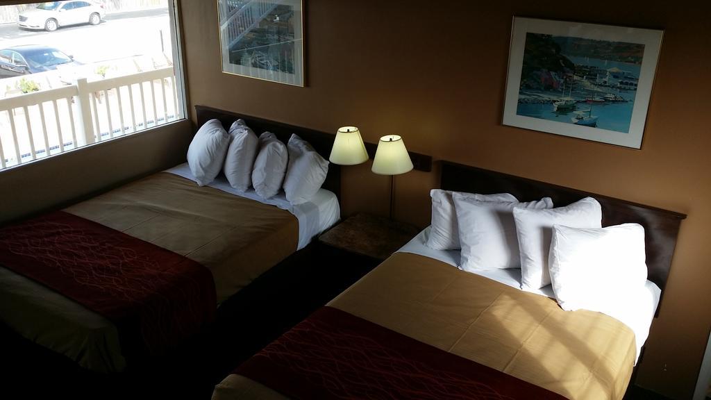 Motel The Palms On Ocean Pompano Beach Pokoj fotografie